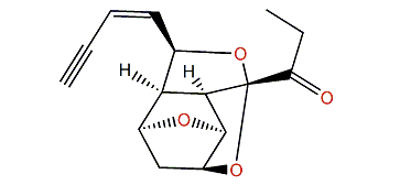 Jeddahenyne B